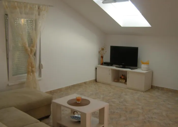 Martina פריזבה