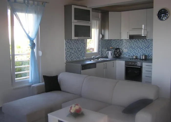 Martina פריזבה