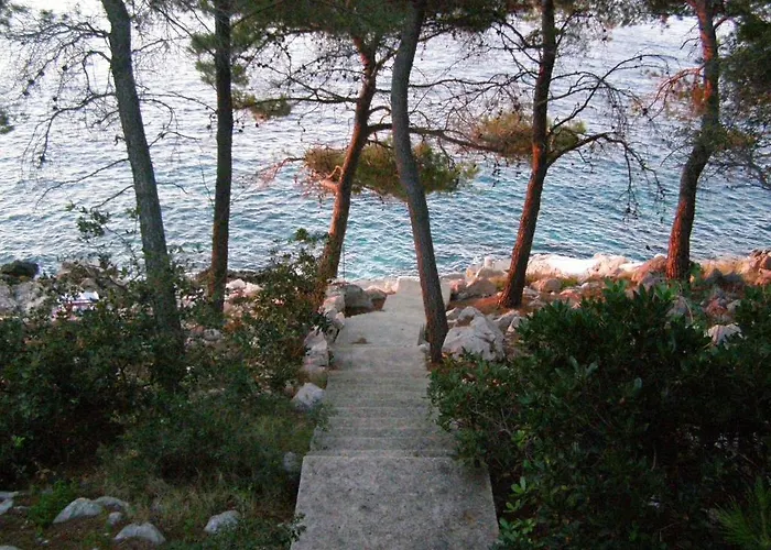 Martina פריזבה