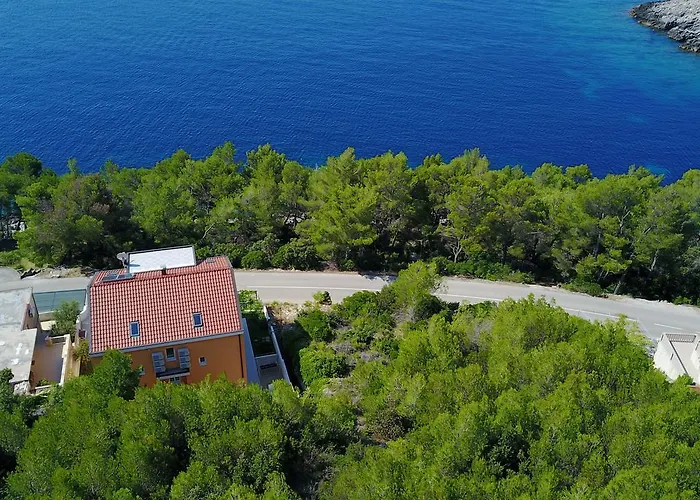 Martina פריזבה